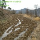 광주동초등학교충효분교장 이미지