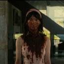 컴패니언 이미지