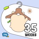 호산후조리원 이미지