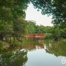 여명로25번길 이미지