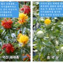 경희라라한의원 이미지