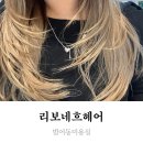 리보네흐 | 범어동미용실 리보네흐헤어 디자인 레이어드컷 지슈리 원장님께 예쁘게 받고온 후기