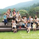 용문산야생화마을 이미지