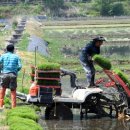 화천농기계임대사업소 이미지