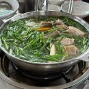 꽃우물오리 | 안산화정동맛집 꽃우물오리 가족모임 룸식당 뷰좋은곳 내돈내산