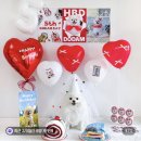 안녕, 내강아지 | 강아지 생일파티 소품 내돈내산 후기｜기대했다가 너무 실망했던 네이버쇼핑 구매기