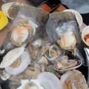 짱조개나라 | 영흥수협회센터조개구이찜 애견동반가능 직접잡는조개나라8호