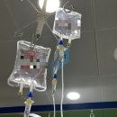 르봄여성의원 | 임신 기록 #1