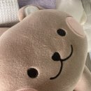 레이니왁싱 | 서면 왁싱 후기 레이니 왁싱에서 브라질리언 하고 왔어요!
