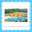 샛별초등학교 이미지