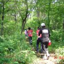 보육학개론 이미지