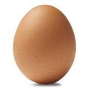달걀 / 김기성 이미지