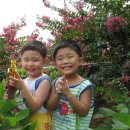 동재농장 이미지