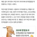 배우 박은석, 반려동물 상습파양 논란…"현재 지인이 키워" 해명 이미지