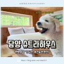 기역니은펜션 | [담양슈트라하우스]전남 광주 애견동반 숙소 펜션 내돈내산 후기