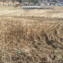 소유마을회관 이미지