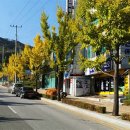 디자인스토리단국