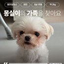 몽실/여아/6살추정 이미지