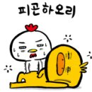 퀸토탈케어 이미지