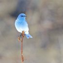 일산로428번길 이미지