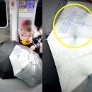 보니또그 이미지