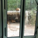 동산유치원 | 놀이동산 픽업후기