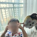 파티팡24동탄