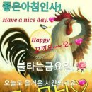 자리끼