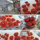 (주)양달말 네이버블로그