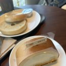 폴바셋거제아주DT점