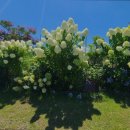 동해한옥펜션 이미지