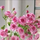 한대역앞 이미지