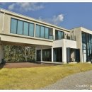 까미노데플로레스타1 이미지