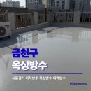 금천구 옥상방수와 하자보수, 왜 전문가의 손길이 필요할까요?
