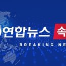 [속보] 경찰, 서현역 '묻지마 흉기 난동' 용의자 긴급체포 이미지