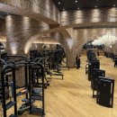 자마이카휘트니스 이미지