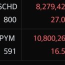 아무리 장이 와리가리해도 지수투자는 안정적..👍 이미지
