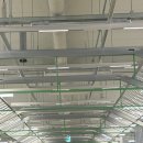 엄마약국 | 메가팩토리약국 금천 후기