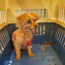 용주면사무소 이미지