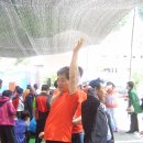 신녕서부초등학교 이미지