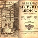 라일락산부인과의원 이미지