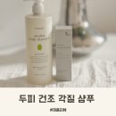 오 | 두피 건조 각질 샴푸 심플리오 후기 관리 방법