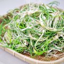 달래네 하우스 이미지