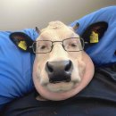 (주)에이피디 | 복학이 44일밖에 남지 않았다.