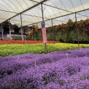 팔음농장 이미지