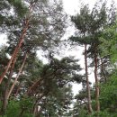 금시당 - 동두천시 지행로 63 | 밀양 금시당(今是堂) 백곡재(栢谷齋) - 밀양강 굽이치는 언덕 위에 지은 그림 같은 조선 후기 별서^^