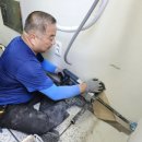 천년나무7 A 이미지