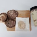 숙이네농장 이미지