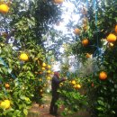 농장이야기 이미지