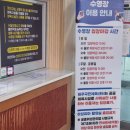 제주특별자치도 장애인체육회 | [제주도 자유수영] 제주국민체육센터 25m 자유수영 했어요 || 수영장 헬스장 강습 시간 및 요금 정보
